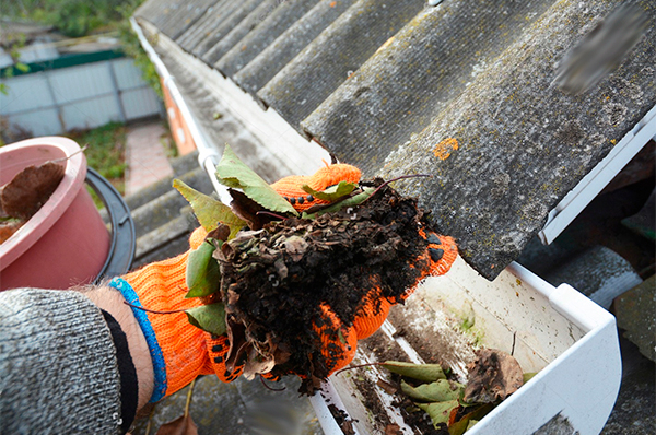 Seasonal Deep Cleaning in Kilkenny: 5 Key Advantages with Magical Cleaning