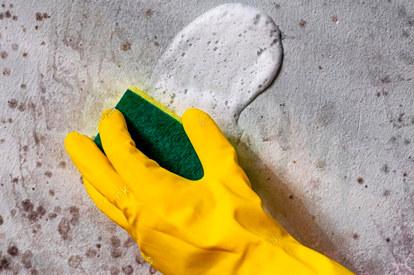 Dry and Wet Cleaning: What It Means for Your Home