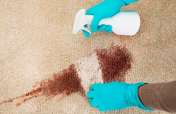 I have had professional cleaners come to my house and here is my experience