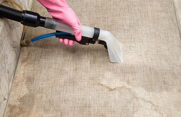 Do you need your upholstered furniture dry cleaned? Here's what you need to know first