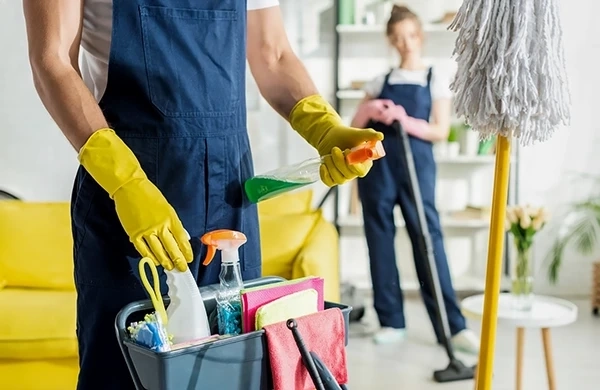 Magical Cleaning in Carlow — When Professional Care Brings Real Cleanliness