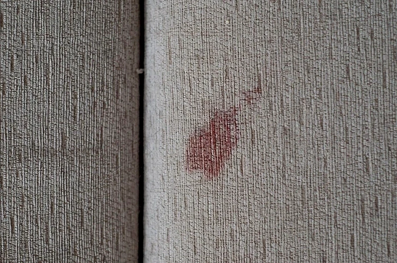 Blood Stain in Portlaoise