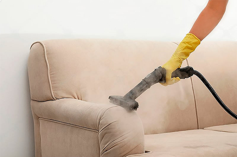 Fabric is delicate or the leather furniture is valuable