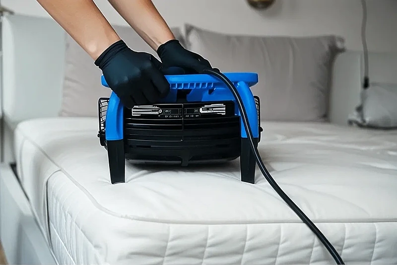 Why professional cleaning is the best way to extend the life of your upholstered furniture