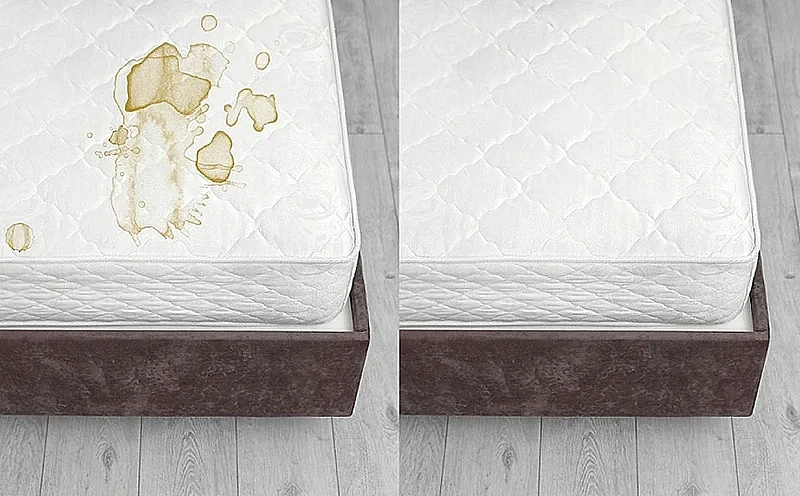 How Professional Dry Cleaning of Furniture Solved the Problem