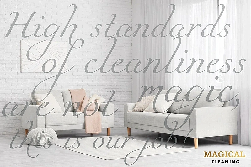 Furniture is an investment, order cleaning from professionals