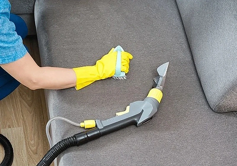 Types of Contamination in Soft Furniture and Carpets