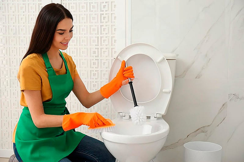 Regular cleaning of the WC