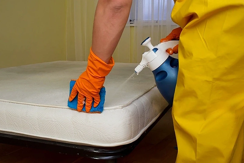 Why Professional Upholstery Cleaning Begins Long Before Cleaning Itself