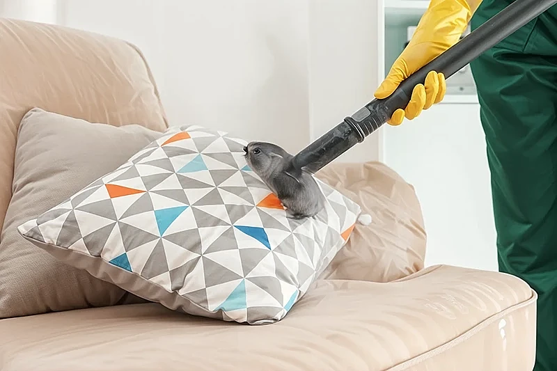 We offer a wide range of cleaning solutions to suit every need
