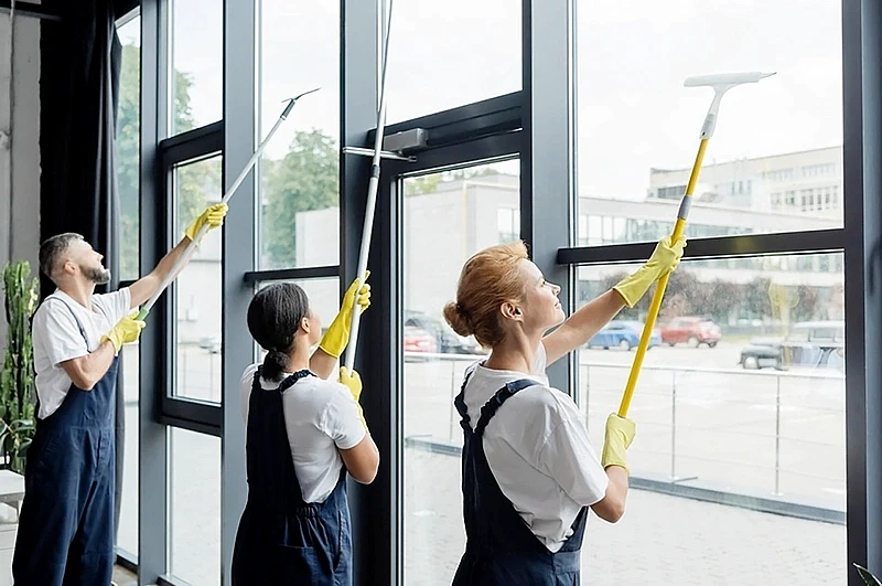 Why Professional Window Cleaning Matters