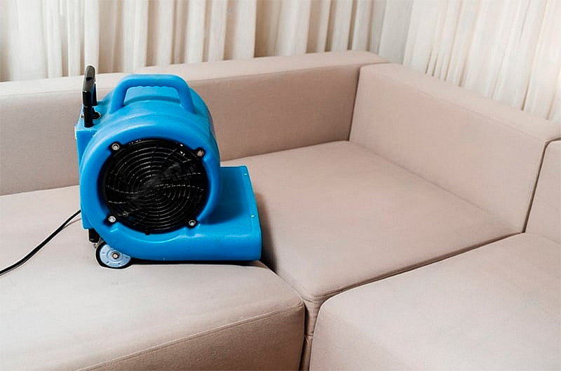 Professionals at Magical Cleaning of Kilkenny
