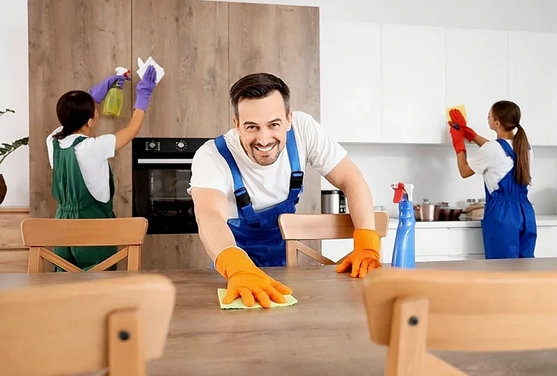 Professional Cleaning vs. DIY